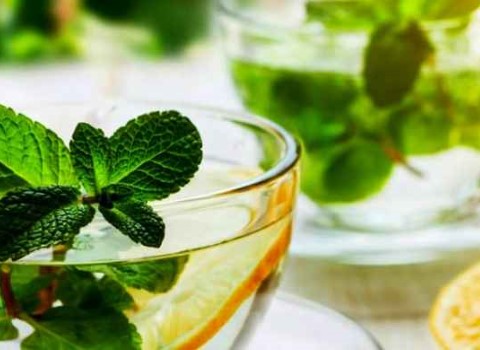 تصویر 3 از فروش عرق گیاهی نعناع + قیمت خرید به صرفه
